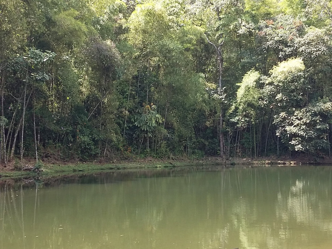 El Topacio-卡利必去景点