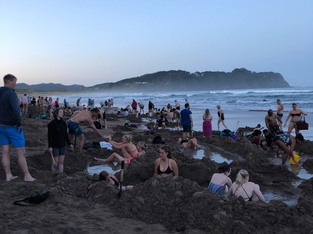 Blue Marlin Apartments主图