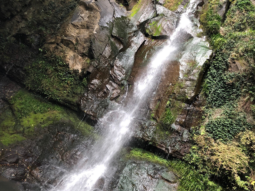 Senryugataki Park-佐世保市必去景点