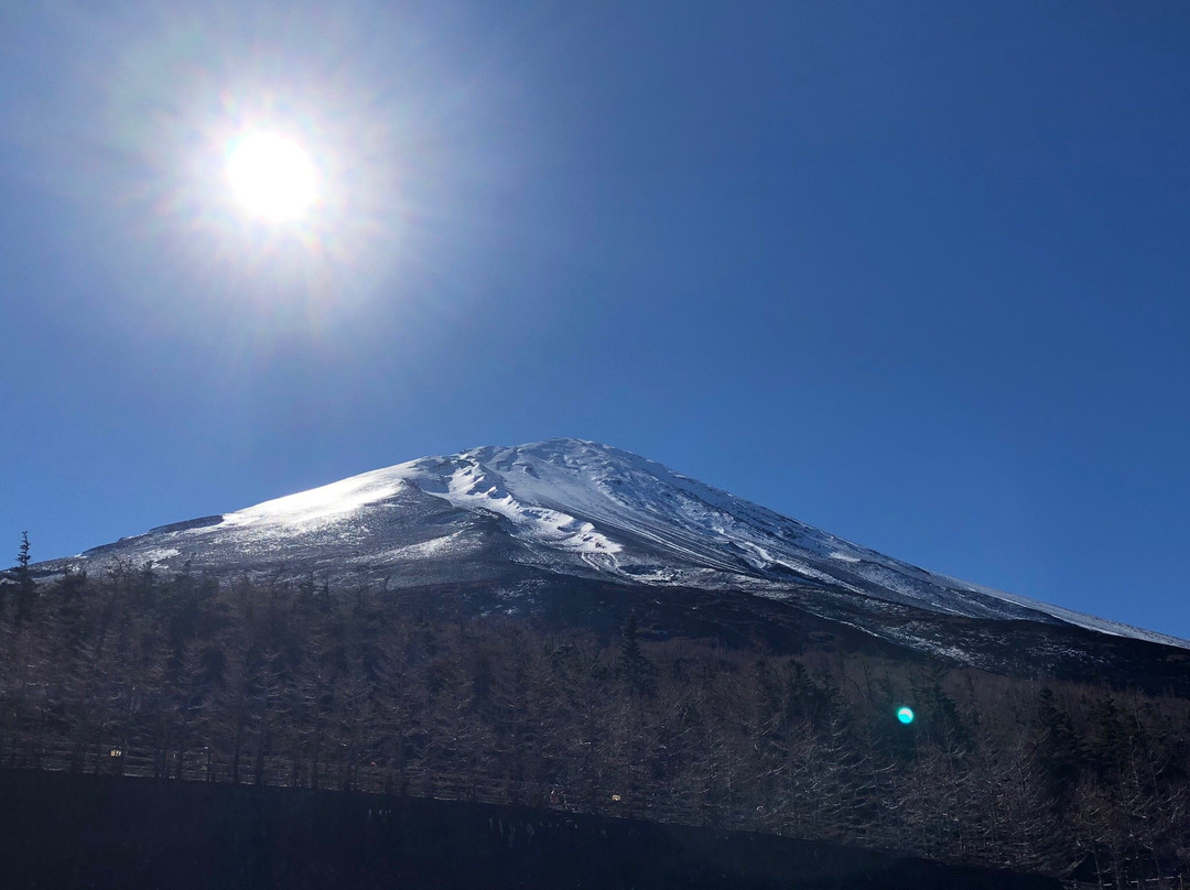 富士山公园景点图片