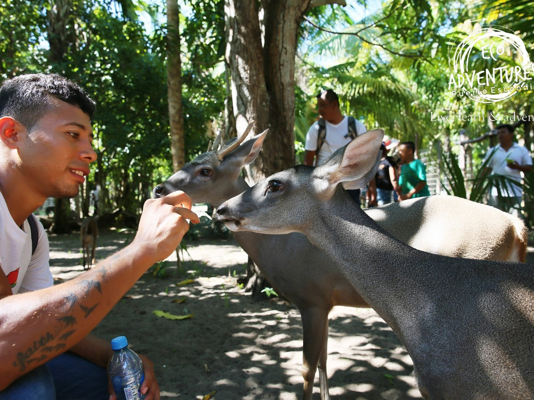 Eco Adventures Puerto Escondido景点图片