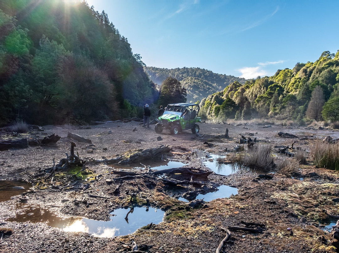 Magnet Tarkine Tours-Waratah必去景点