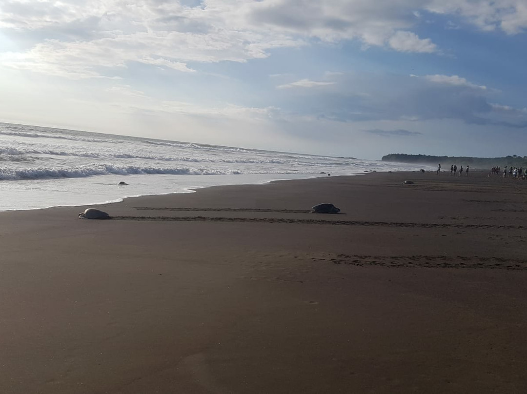 dondeJavitours-萨玛拉滩必去景点