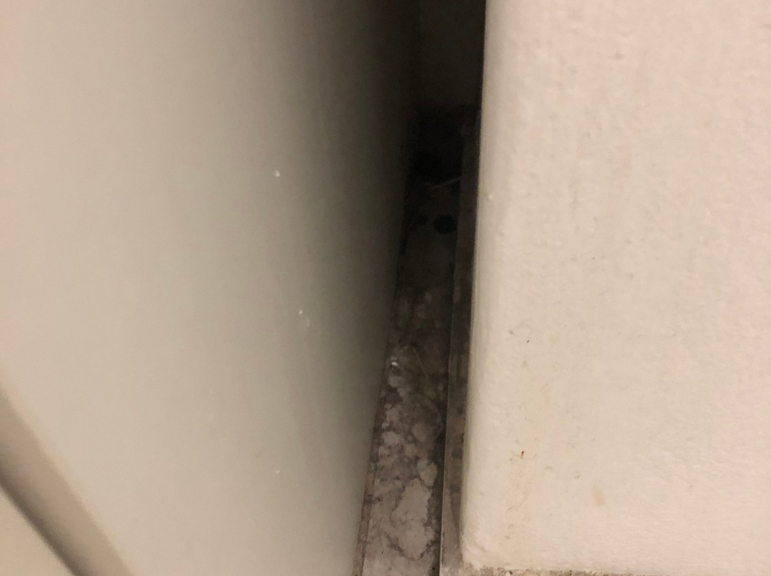 12 Decades Art Hotel主图