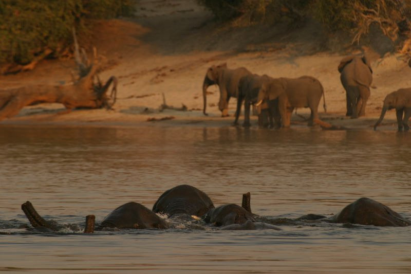 Letaka Safaris景点图片