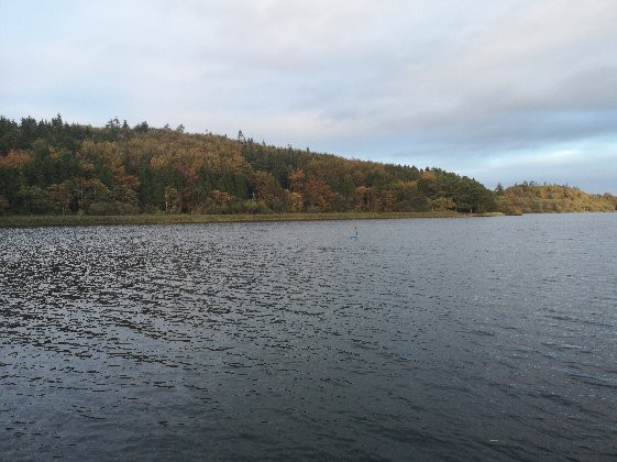 Lough Muckno Leisure Park景点图片