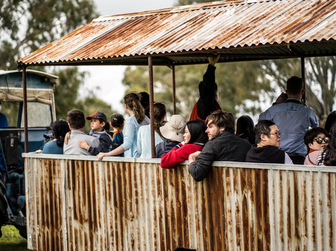 Westside Tours-珀斯必去景点