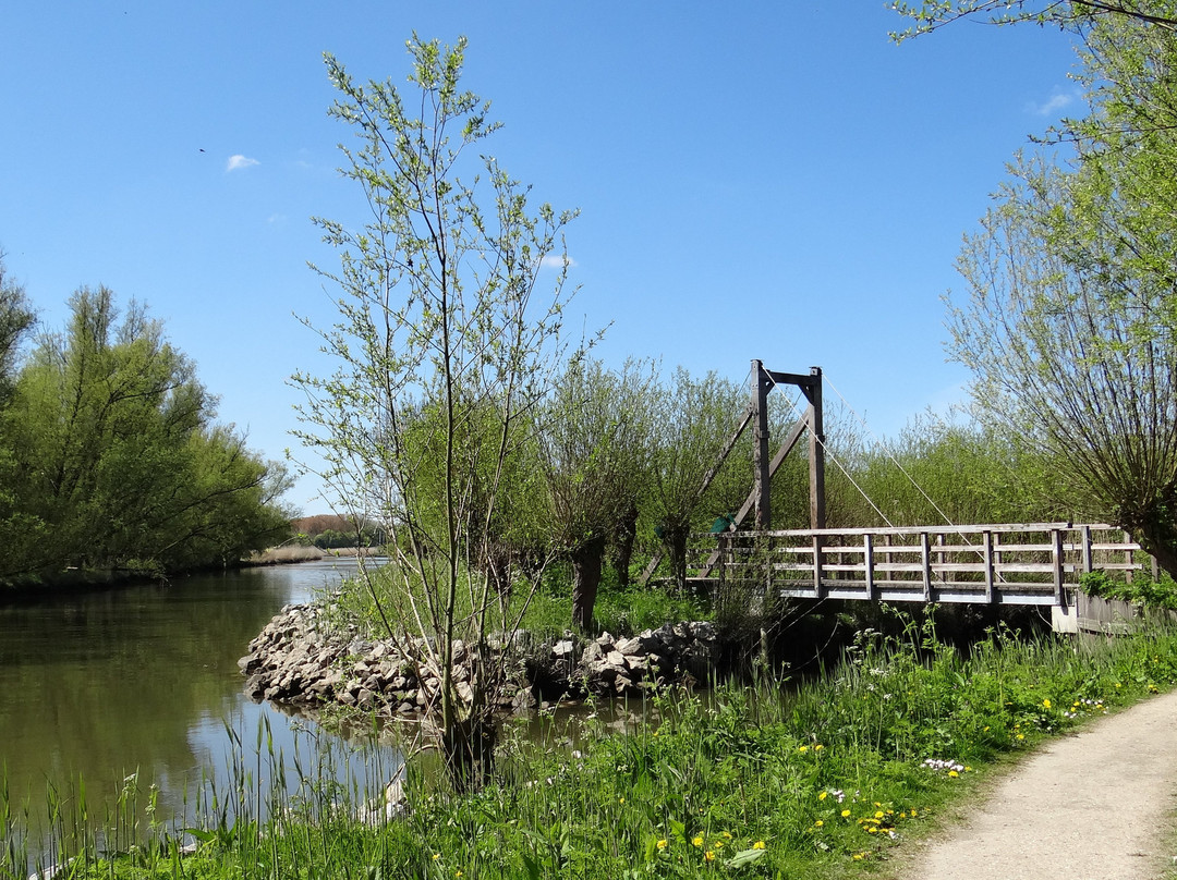 Rhoon旅游景点-Rhoonse grienden