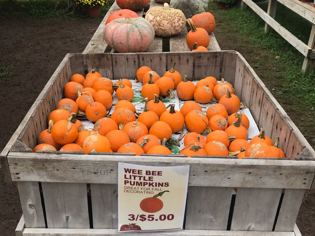 Bishop's Orchards-Guilford必去景点