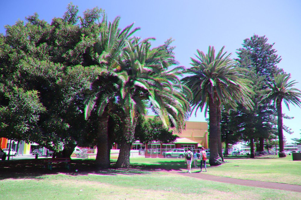 Pioneer Park-弗里曼特尔必去景点