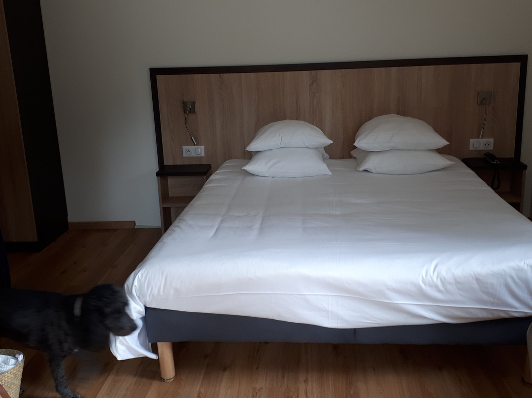 Hotel De La Poste主图