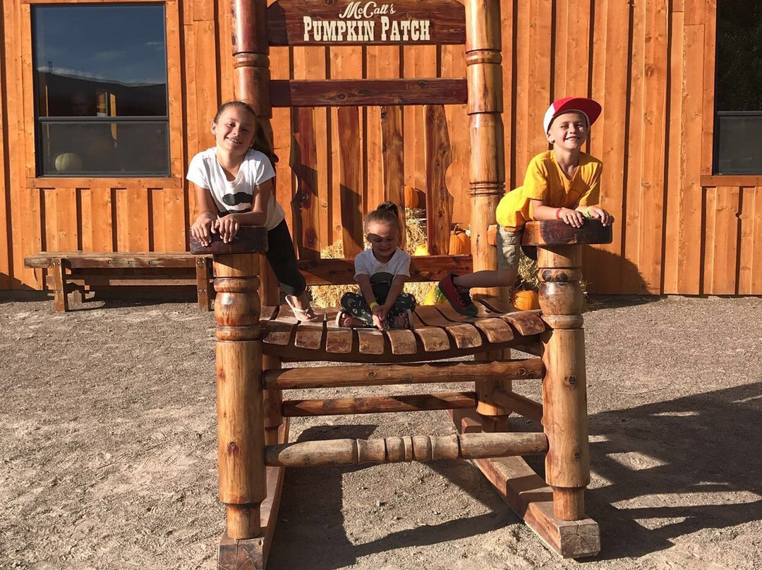 McCall's Pumpkin Patch-Moriarty必去景点