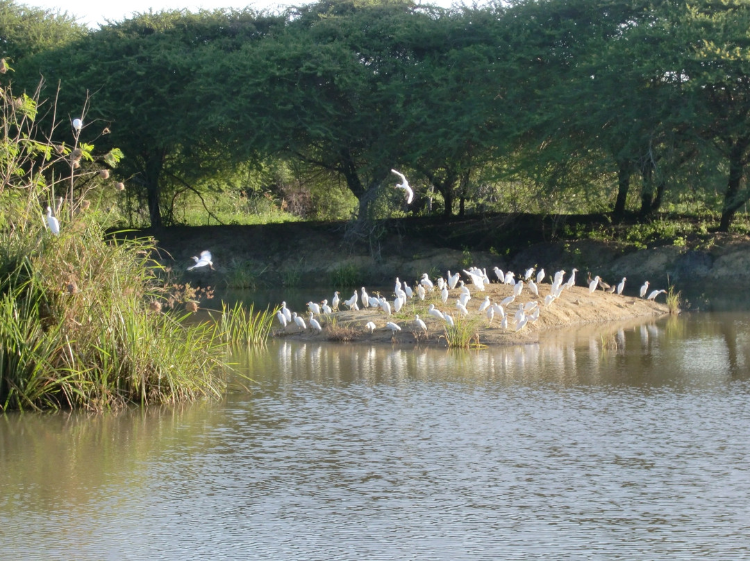 Nguuni Nature Sanctuary景点图片
