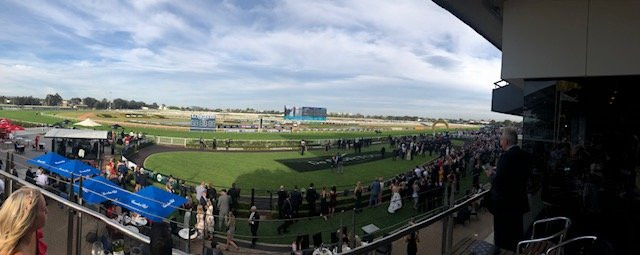 Rosehill Gardens Racecourse景点图片