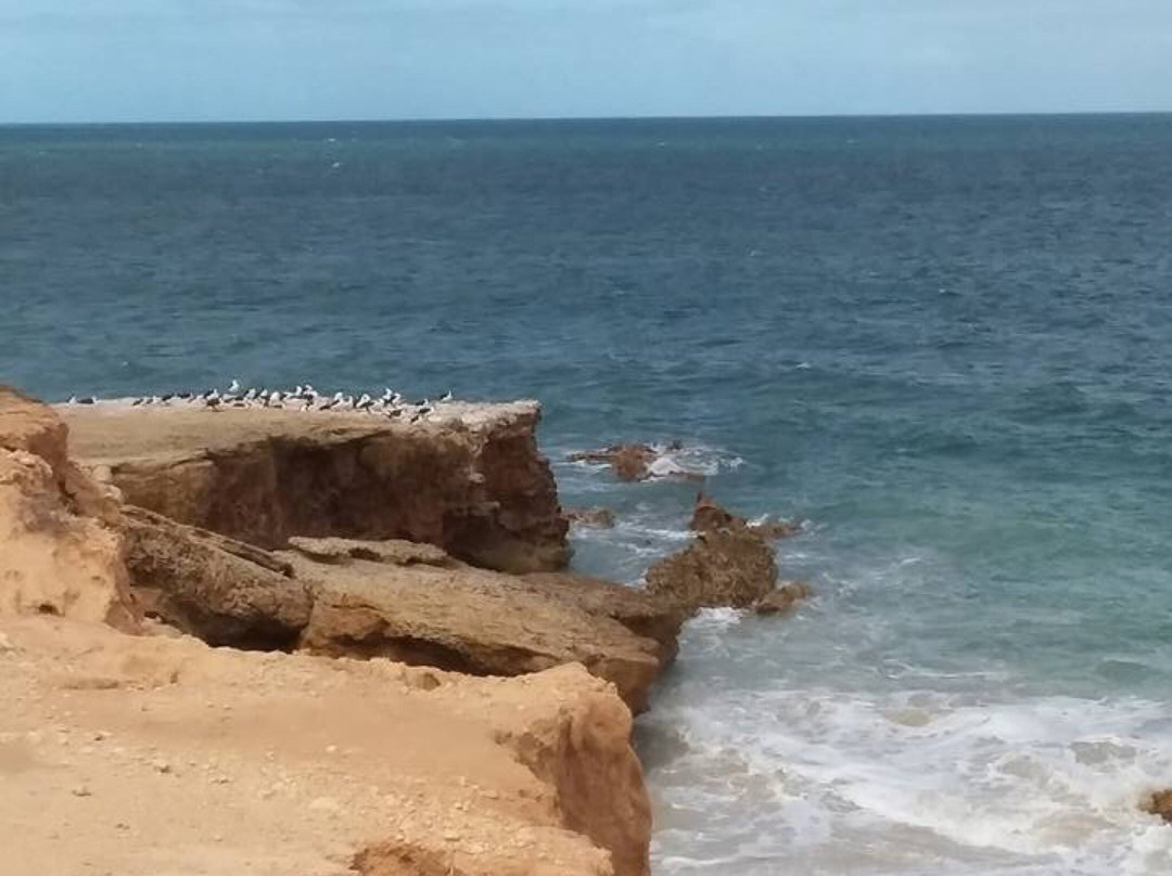 Redbanks Beach-Arno Bay必去景点