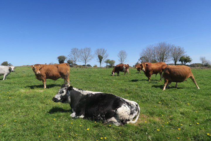A la Ferme Cosquer主图
