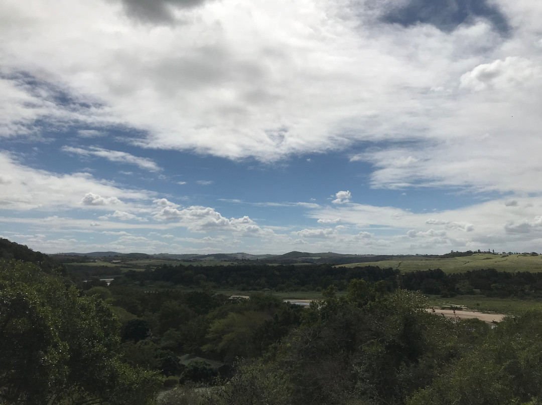 Harold Johnson Nature Reserve景点图片