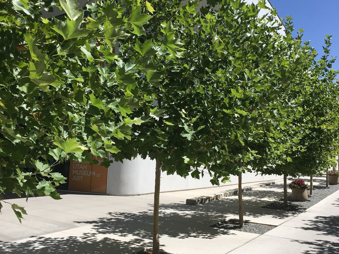 Southern Utah Museum of Art-锡达城必去景点