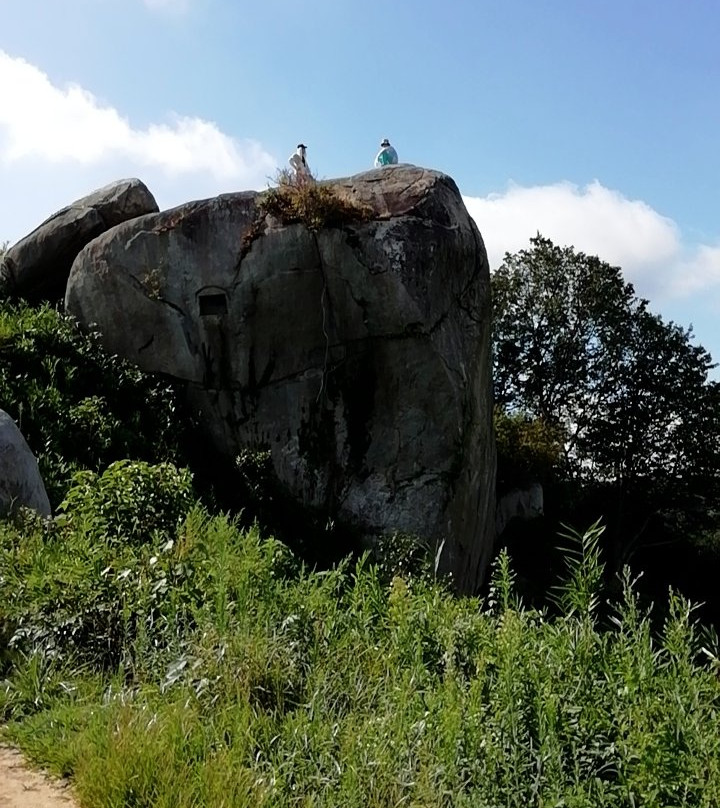 Tsukinowa Falls-交野市必去景点