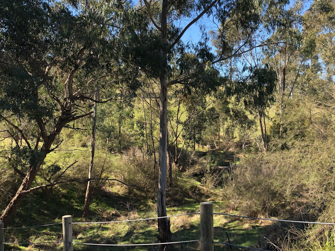 Maroondah Aqueduct-Kangaroo Ground必去景点