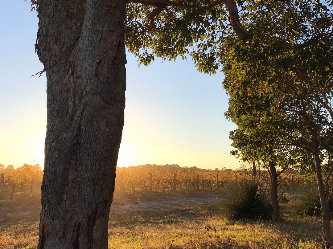 Blind Corner-Quindalup必去景点