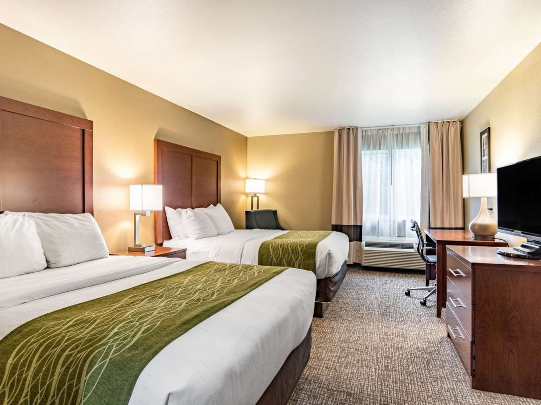 Comfort Inn & Suites Tuscumbia - Muscle Shoals主图