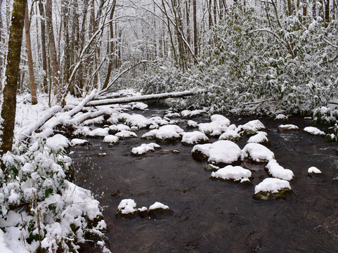 猫头鹰的栖息地（需要5英寸间隙）主图
