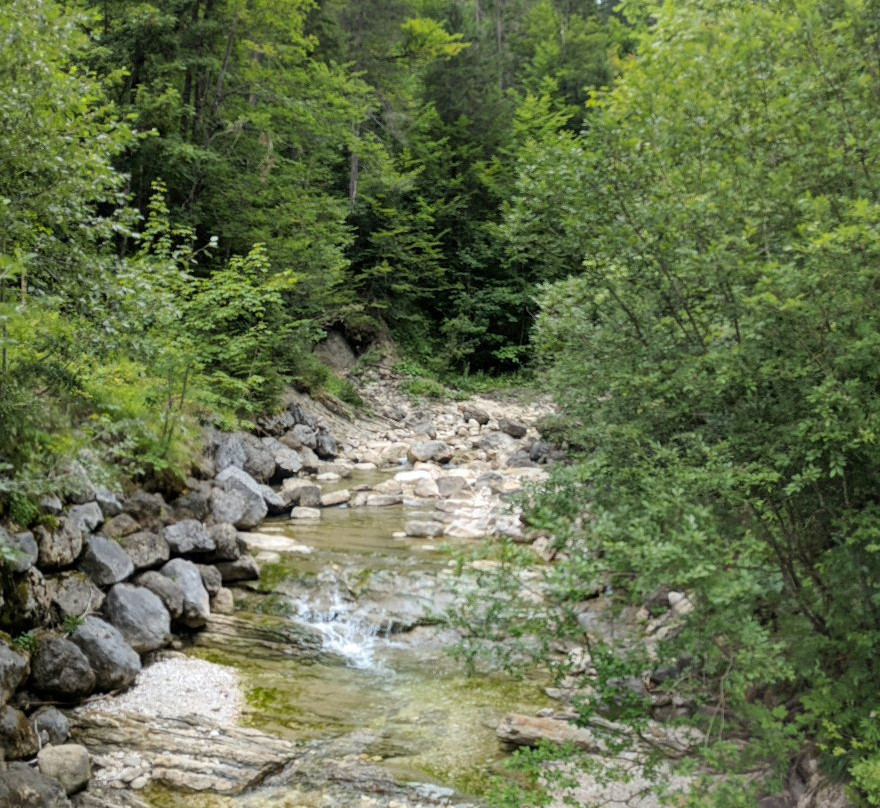 Hotel Kronenhirsch主图