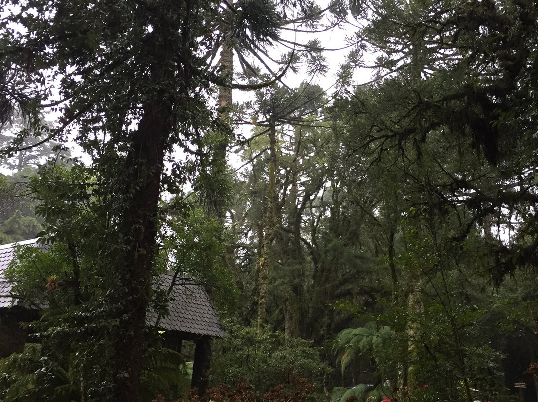 Tri Hotel Canela主图