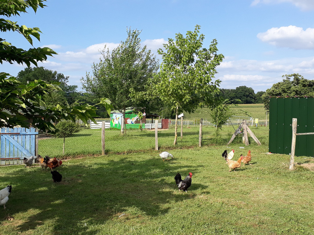 La Petite Ferme de Pouillon景点图片