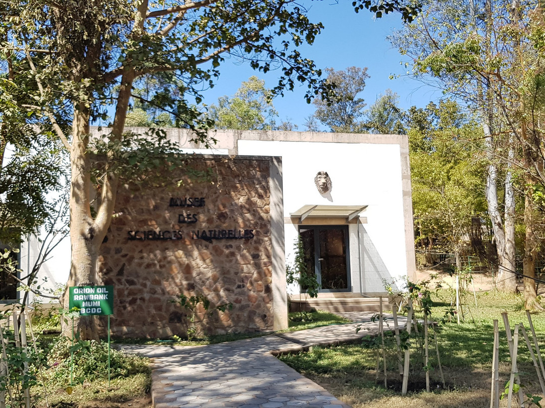 Galerie d'Art Contemporain du Musee D'Art de Lubumbashi景点图片