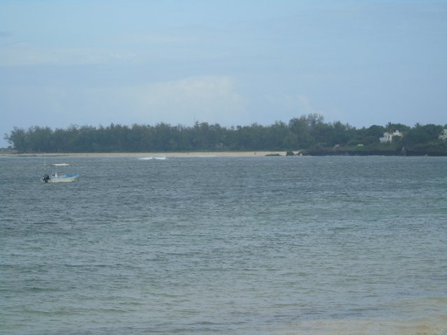 Driftwood Beach Club主图