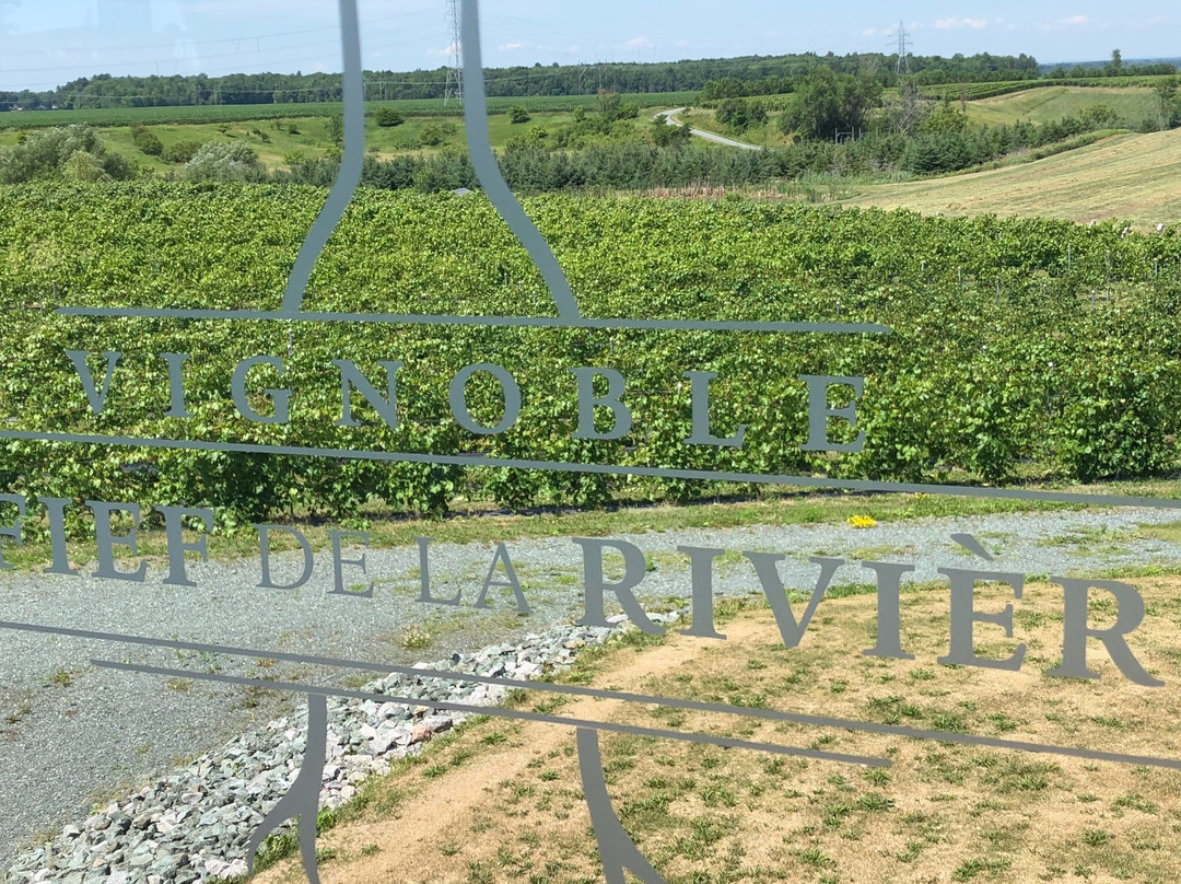 Vignoble Le Fief de la Riviere景点图片