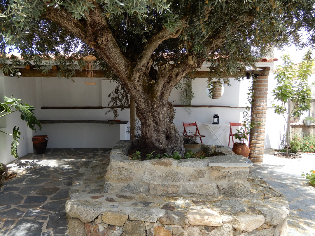 Casa da Cumeada主图