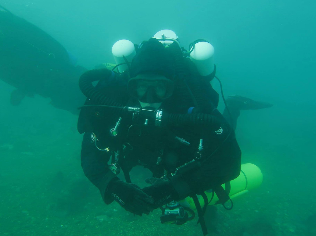 Dive HQ Wellington景点图片