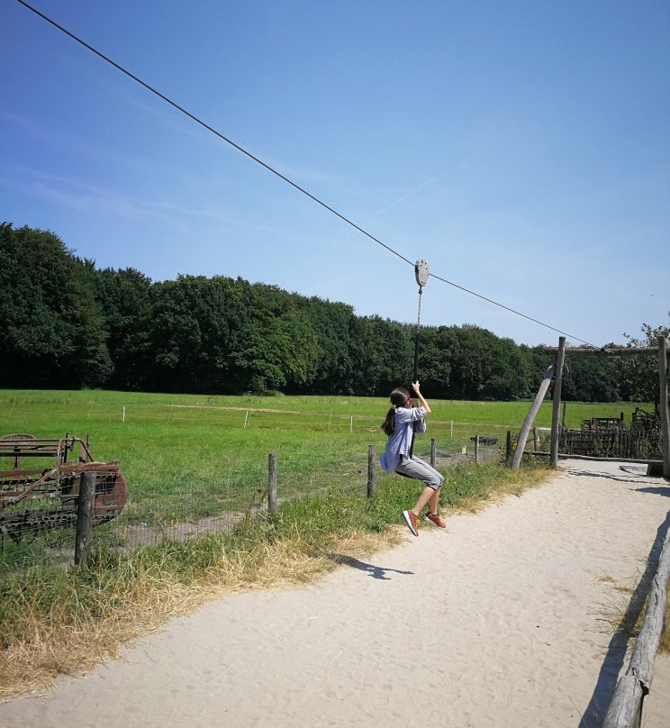 Geitenboerderij Ridammerhoeve景点图片