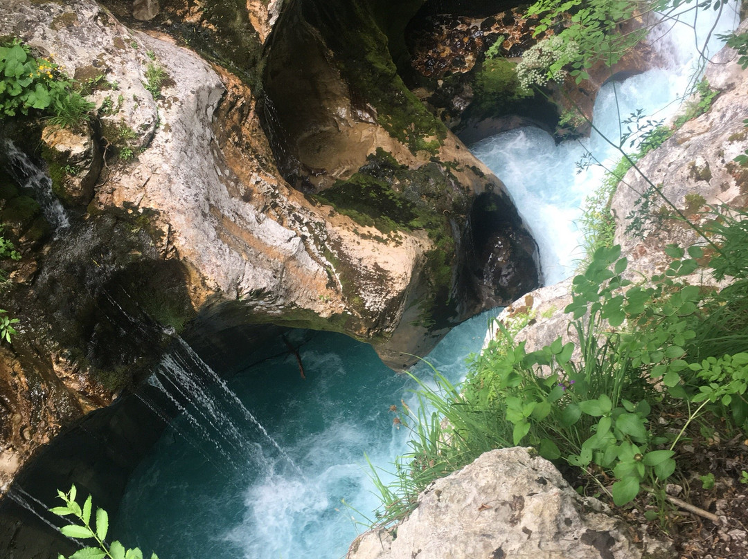 The Source of Soča River景点图片