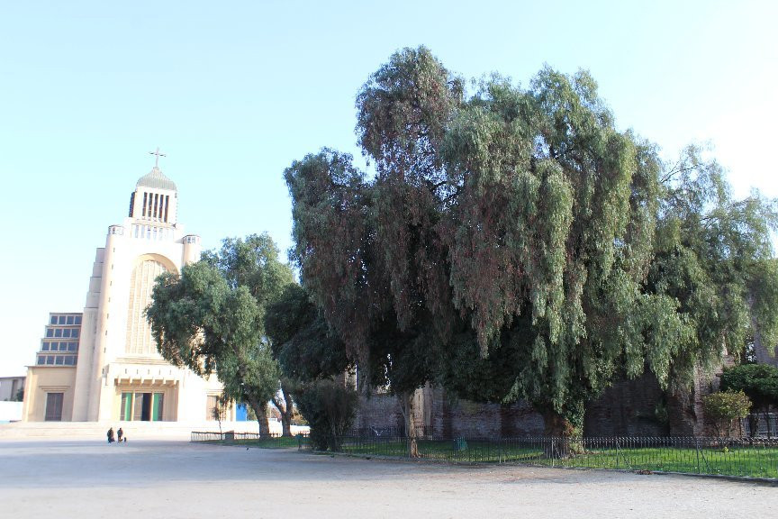 Templo Votivo de Maipu景点图片