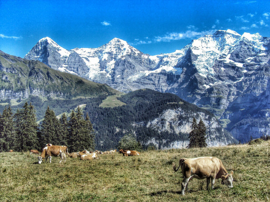 Swiss Travel Guide-苏黎世必去景点