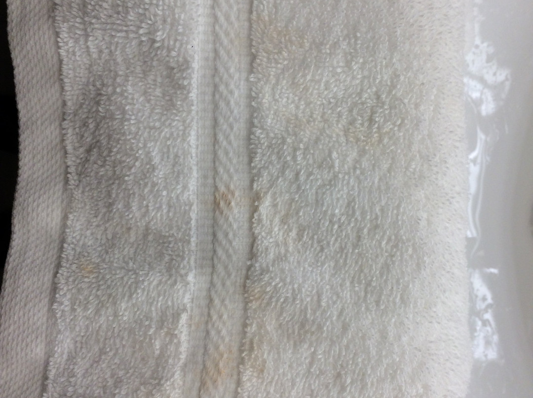 Hotel 1620 Plymouth Harbor主图