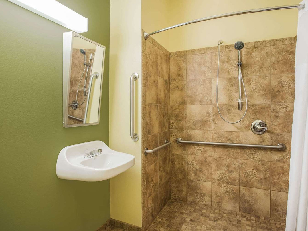 Microtel Inn & Suites by Wyndham Opelika主图