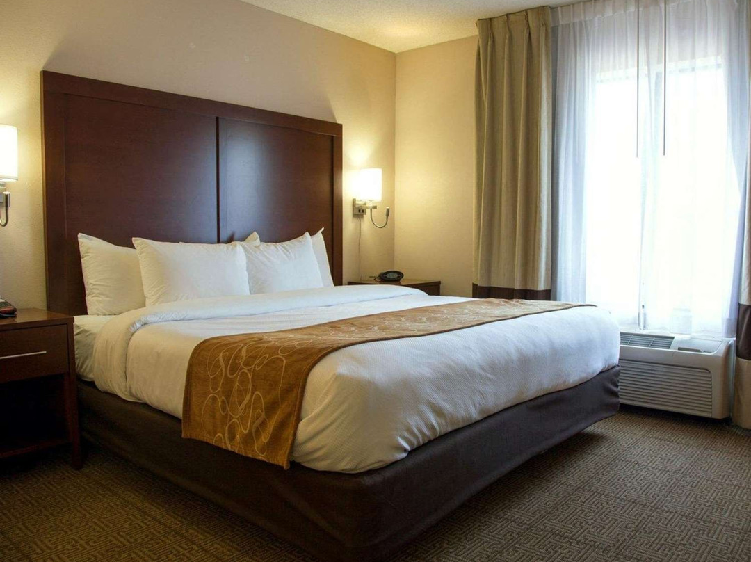 Comfort Suites Fultondale主图