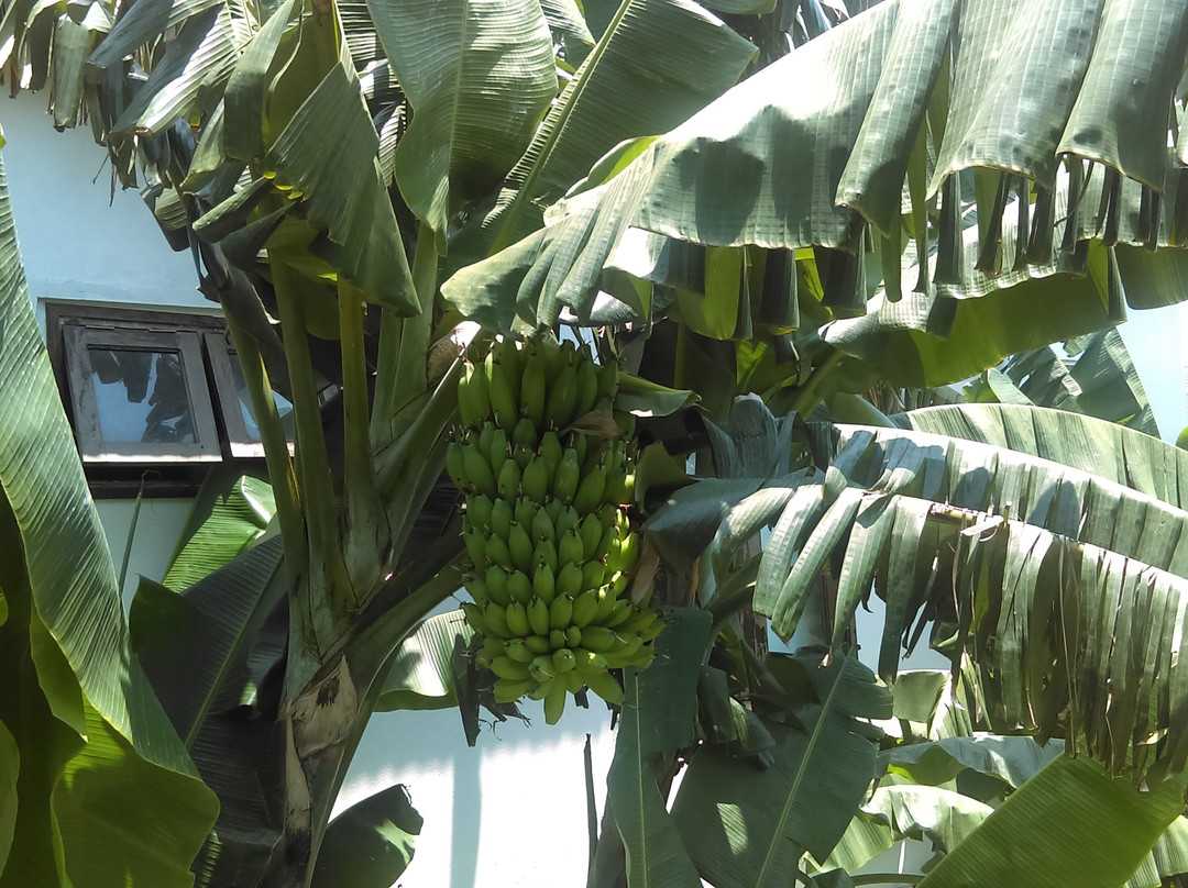 Vina Beach Villas主图