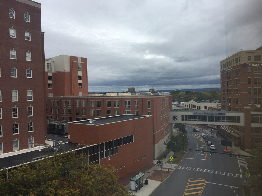 纽约州奥尔巴尼医疗中希尔顿花园酒店主图