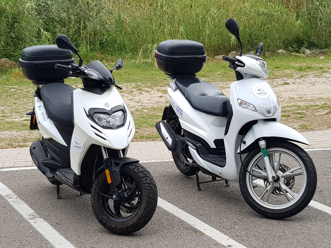 Menorca Motos Rent-阿拉约尔必去景点
