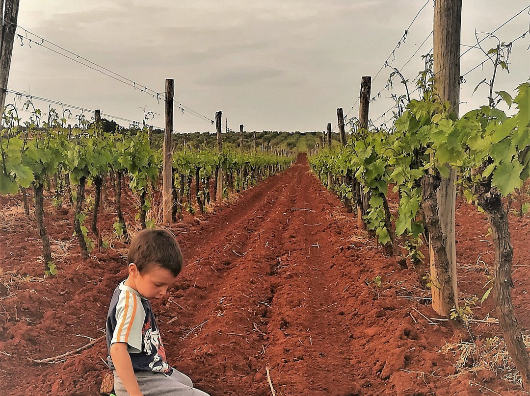Moreno Ivancic Winery-诺维格拉德必去景点