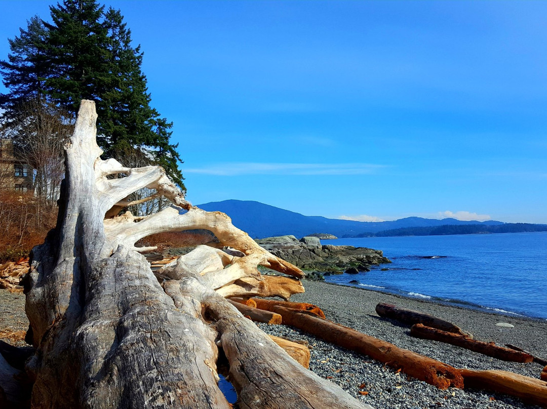 Secret Beach B&B Suites主图