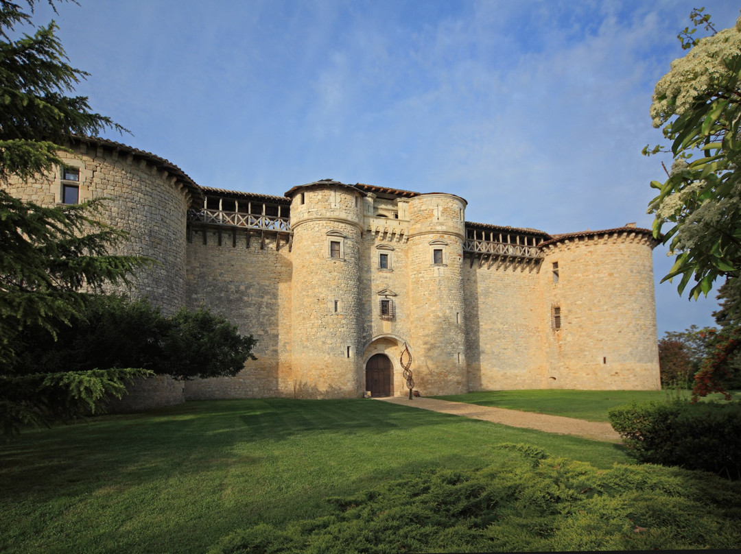 Chateau de Mauriac景点图片