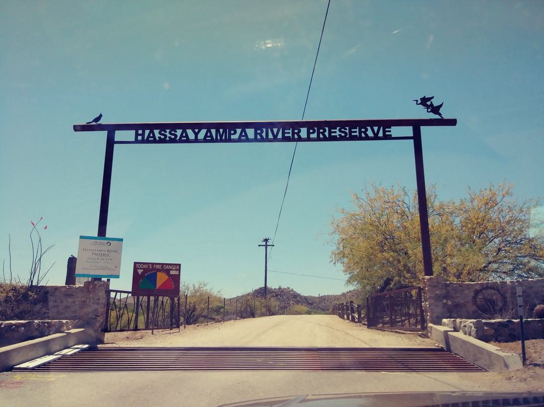 Hassayampa River Preserve-Wickenburg必去景点