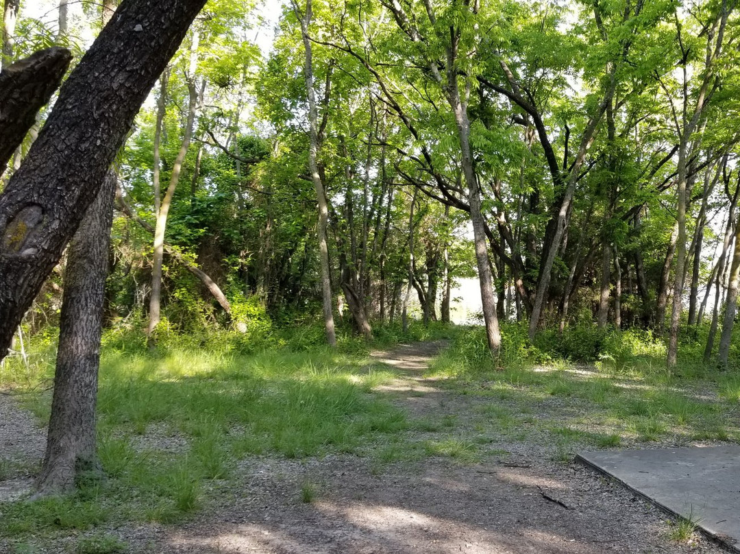 Hidden Cove Park & Marina-The Colony必去景点